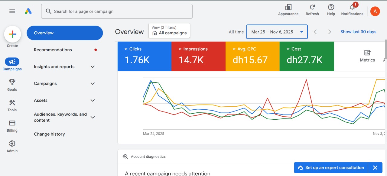 Google Ads Analytics - E-commerce Store
